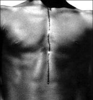 'Si lo hubi�ramos encontrado, ni usted ni yo, se�orita, estar�amos aqu�', dijo un asistente al t�rmino de la conferencia citada